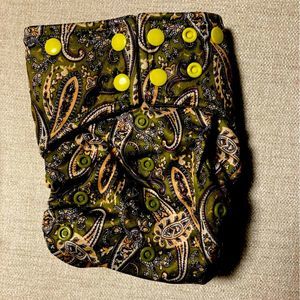 Sweet‎ Cheeks OS Pocket Diaper Double Gusset Green Paisley